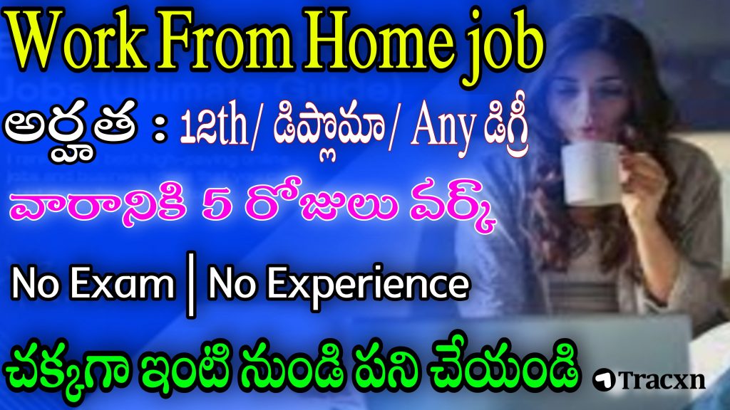 Tracxn Work From Home 2022 Information Executive Jobs In Telugu 