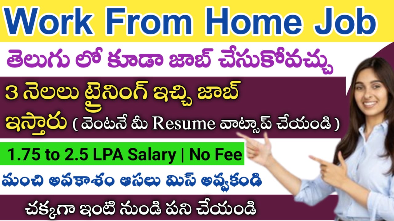 Work From Home jobs in big basket for the post of customer support associate in 2023 Latest