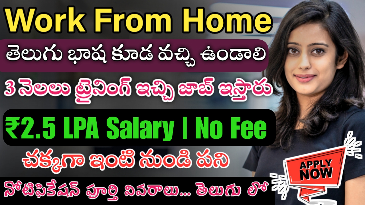 Bigbasket Work From Home jobs 2023 3 months Free training + 100 job